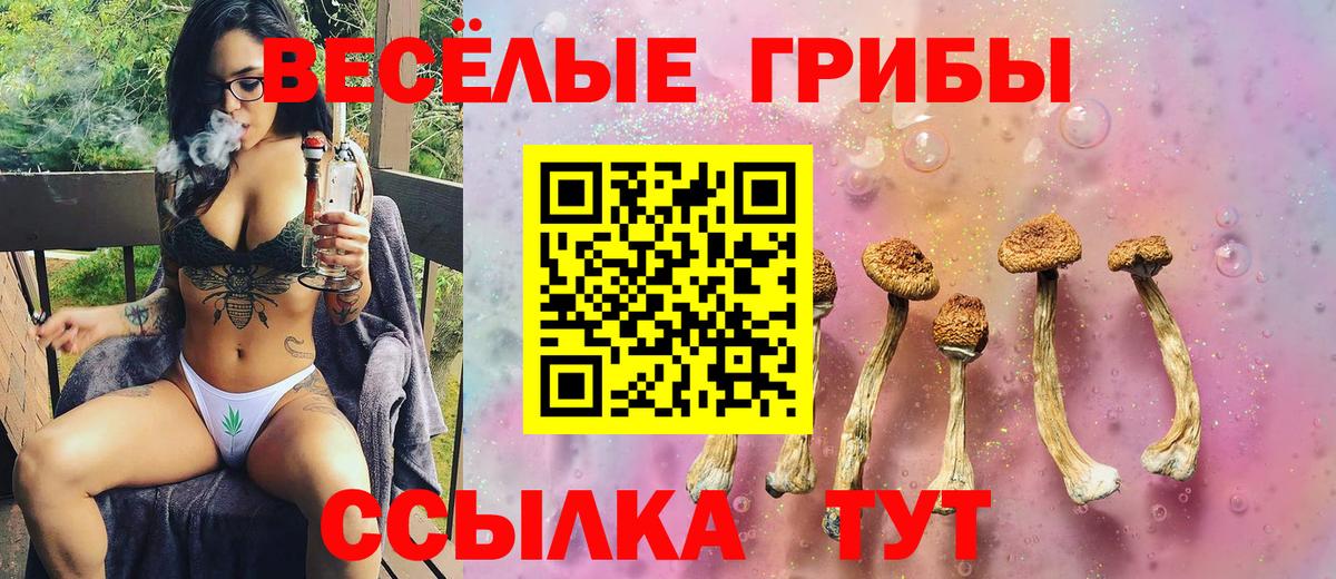 Нижнеудинск  закладка  Вход с VPN  Галлюциногенные грибы GOLDEN TEACHER 