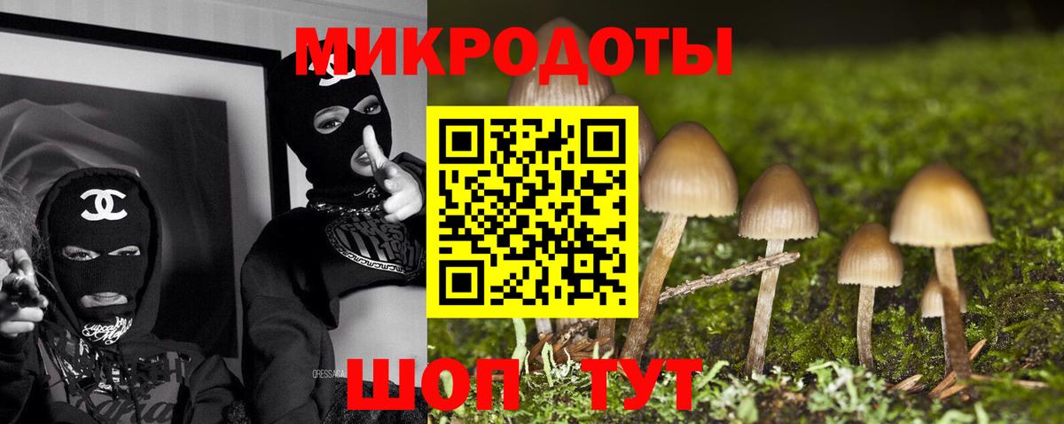 Галлюциногенные грибы MAGIC MUSHROOMS Нижнеудинск