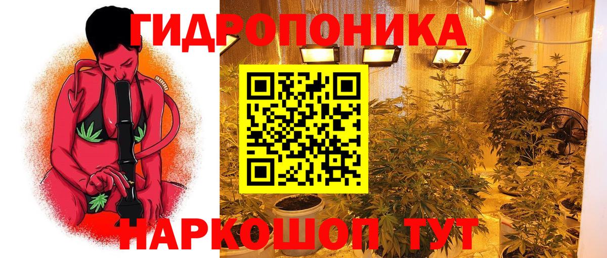 Шишки марихуана MAZAR Нижнеудинск